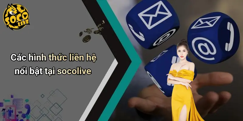 Liên hệ 2 Liên Hệ