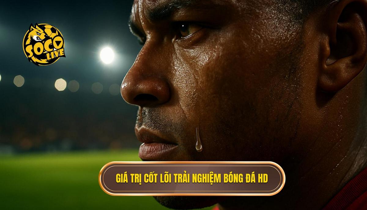 Giá trị cốt lõi của trải nghiệm socolive bóng đá full hd