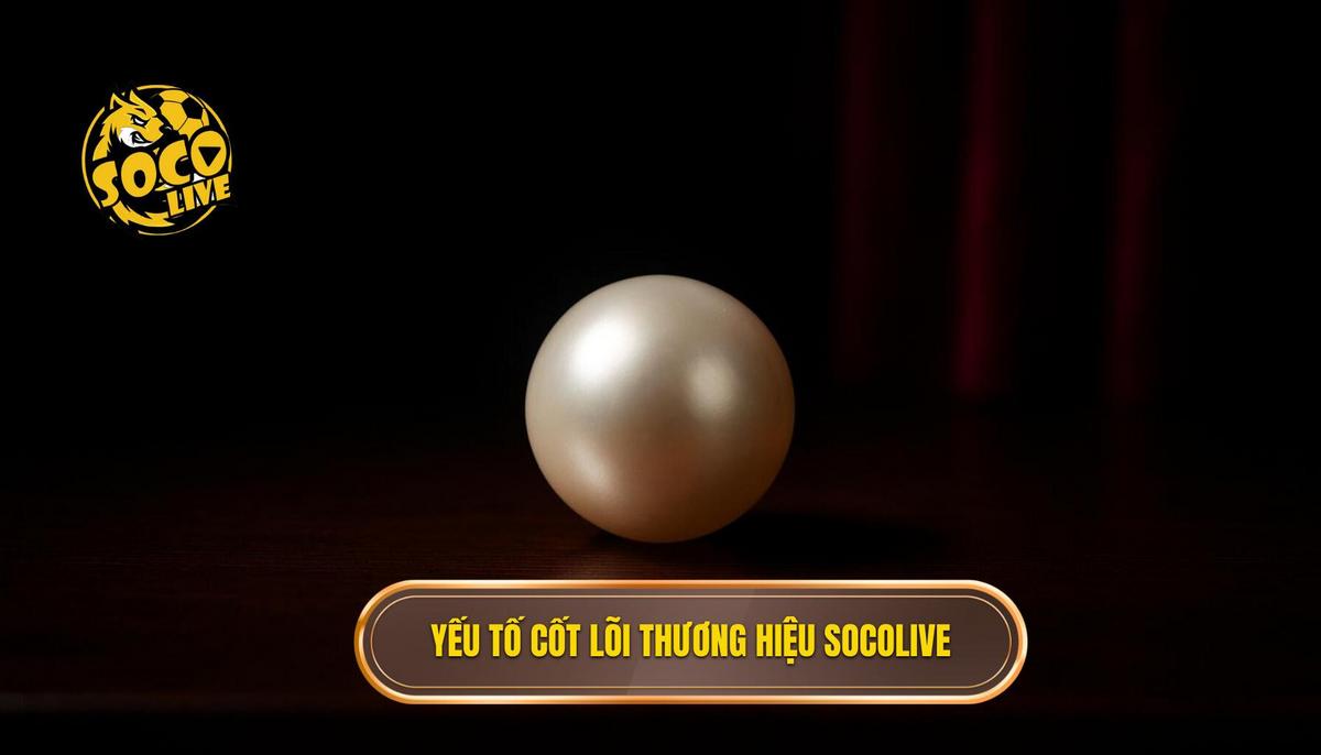 Phân tích các yếu tố cốt lõi làm nên thương hiệu Socolive