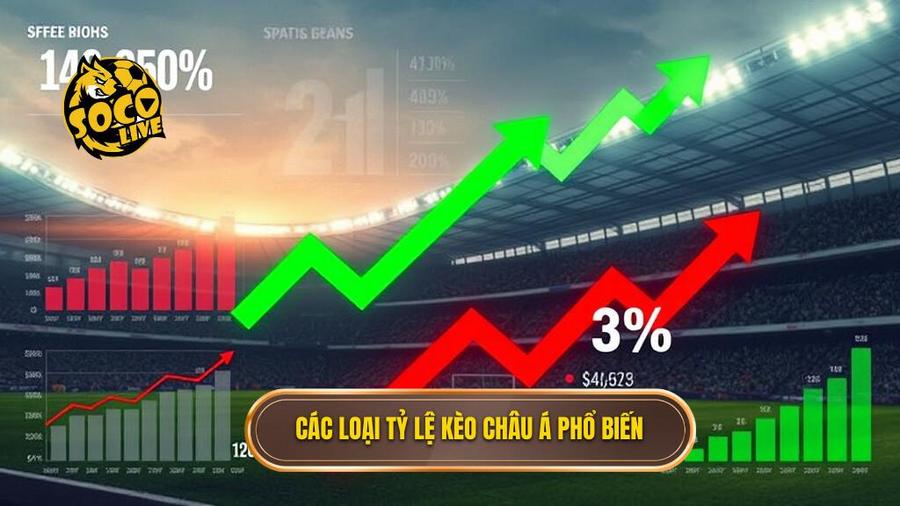 Kèo cược châu Á: Cẩm nang toàn tập và chiến thuật chinh phục từ chuyên gia 2 Các loại tỷ lệ kèo châu Á phổ biến