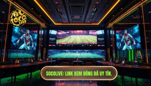 Link xem bóng đá trực tiếp hôm nay